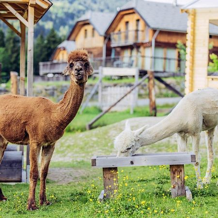 Alpenchalet Alpakablick Sankt Lorenzen ob Murau Luaran gambar